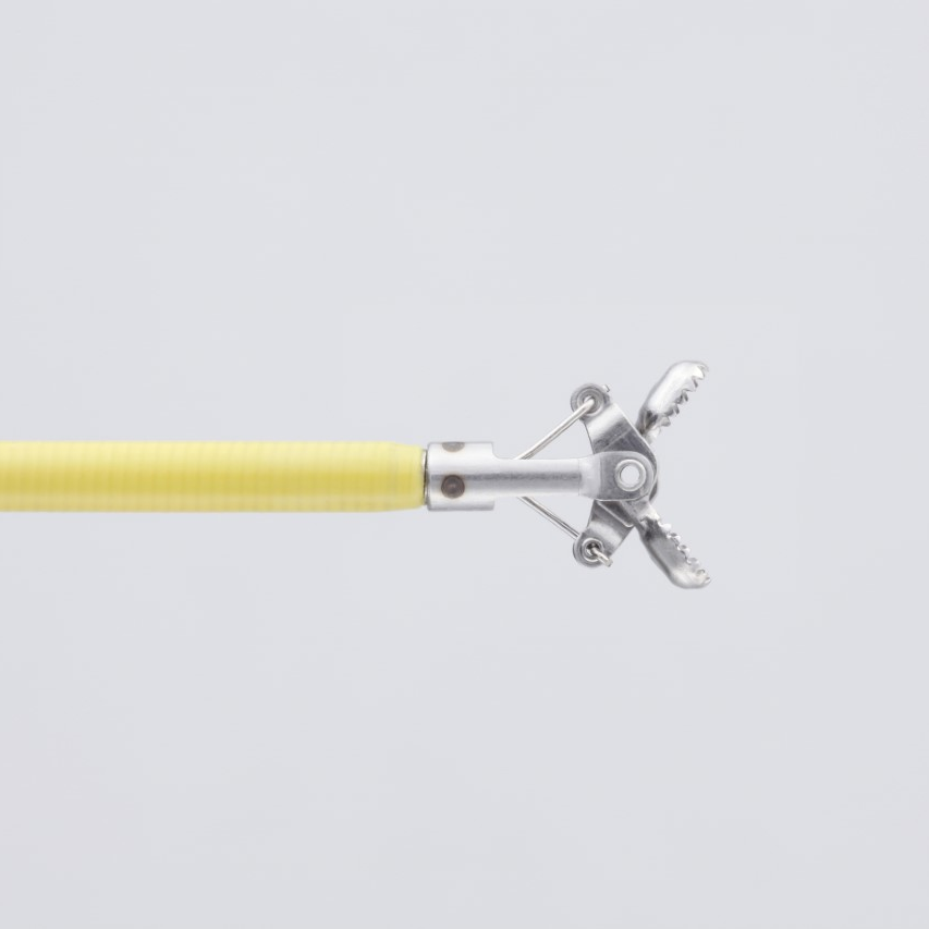 Biopsy forceps