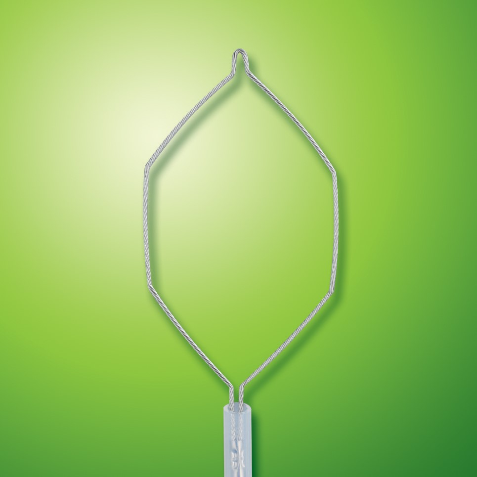 Snare